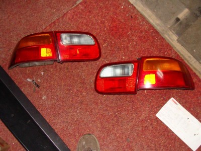 DSC03735 (Large).JPG