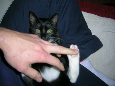 DSCN1828.JPG