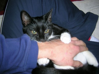 DSCN1829.JPG