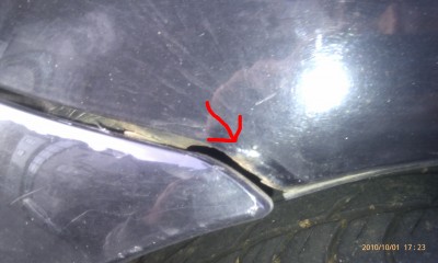 kotfluegel_frontal.jpg