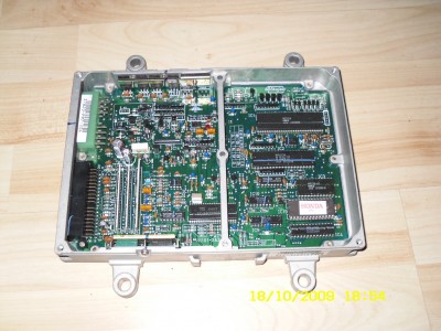SDC10420.JPG