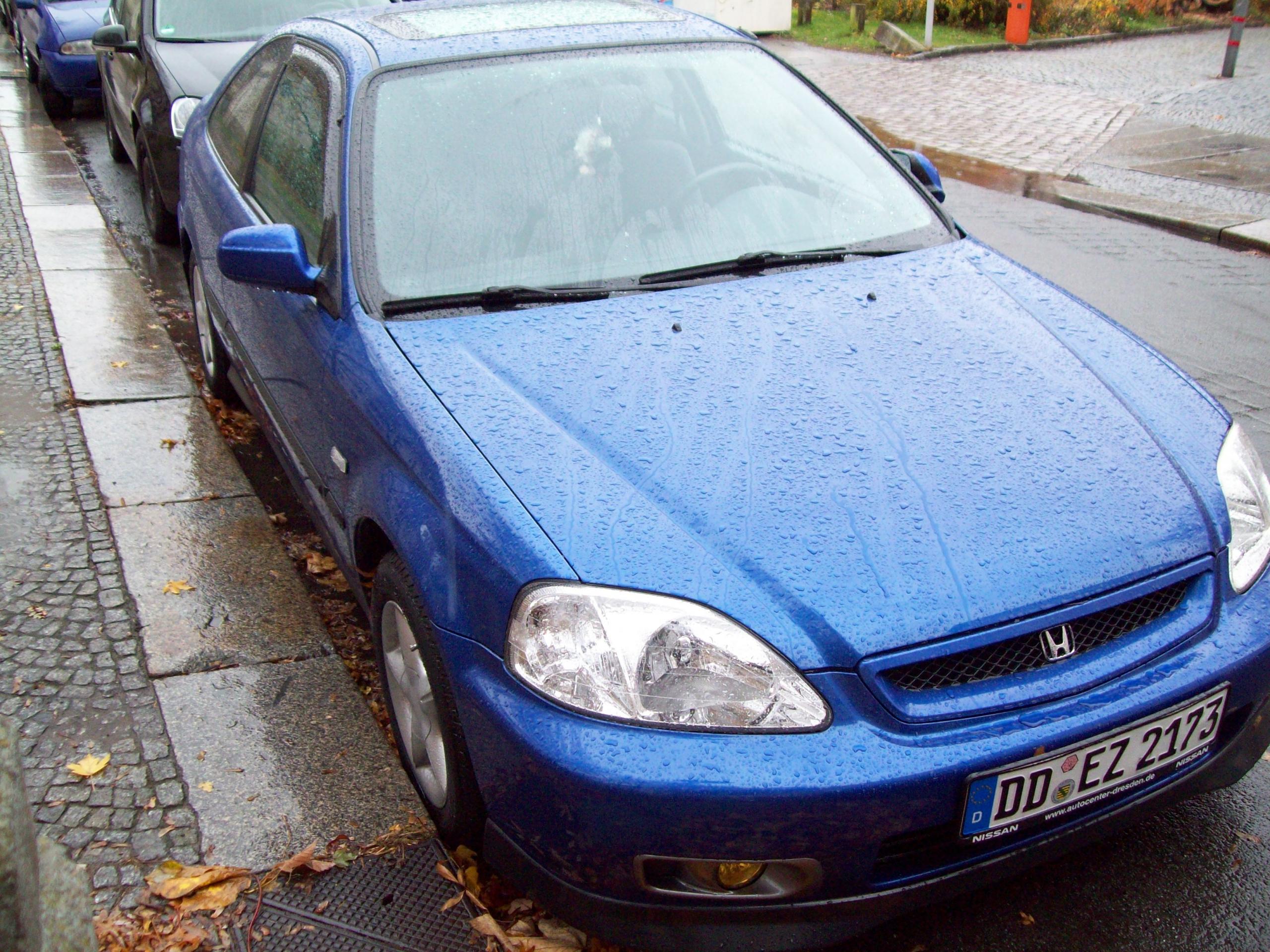 100_1333.JPG