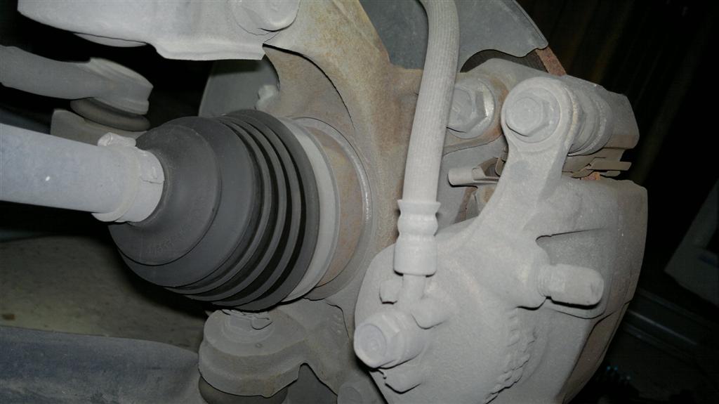 26112010042 (Large).jpg