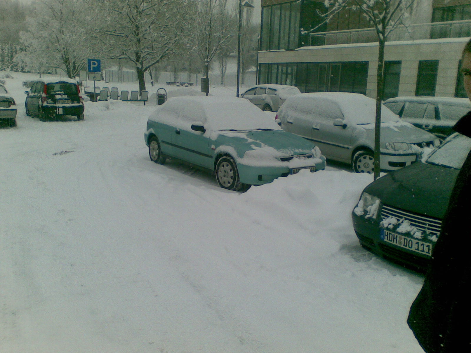 29112010(005).jpg