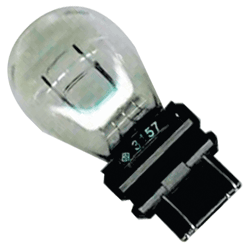 3157-bulb.gif
