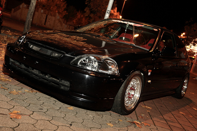5136994867_18d45405fd_z.jpg