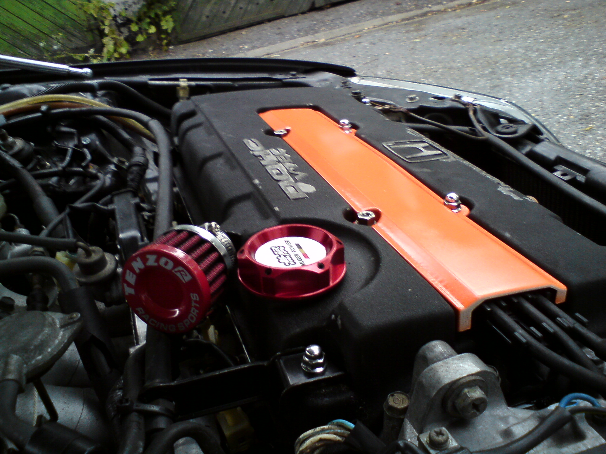 DSC00129.JPG