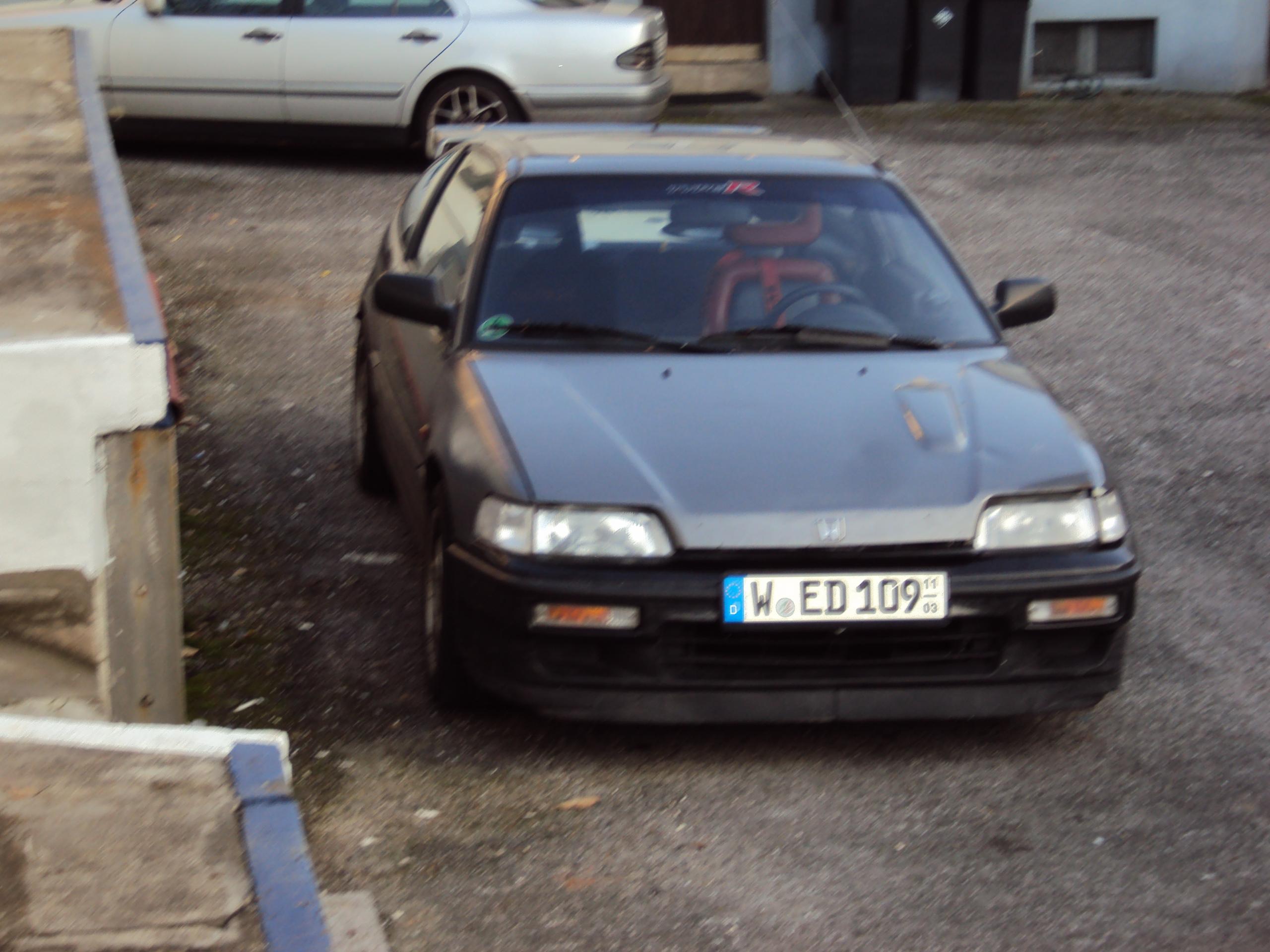 DSC03395.JPG