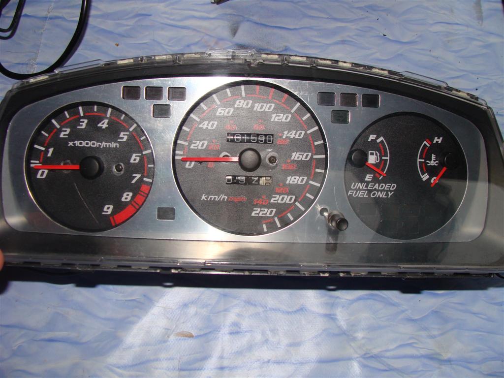 DSC03815 (Large).JPG