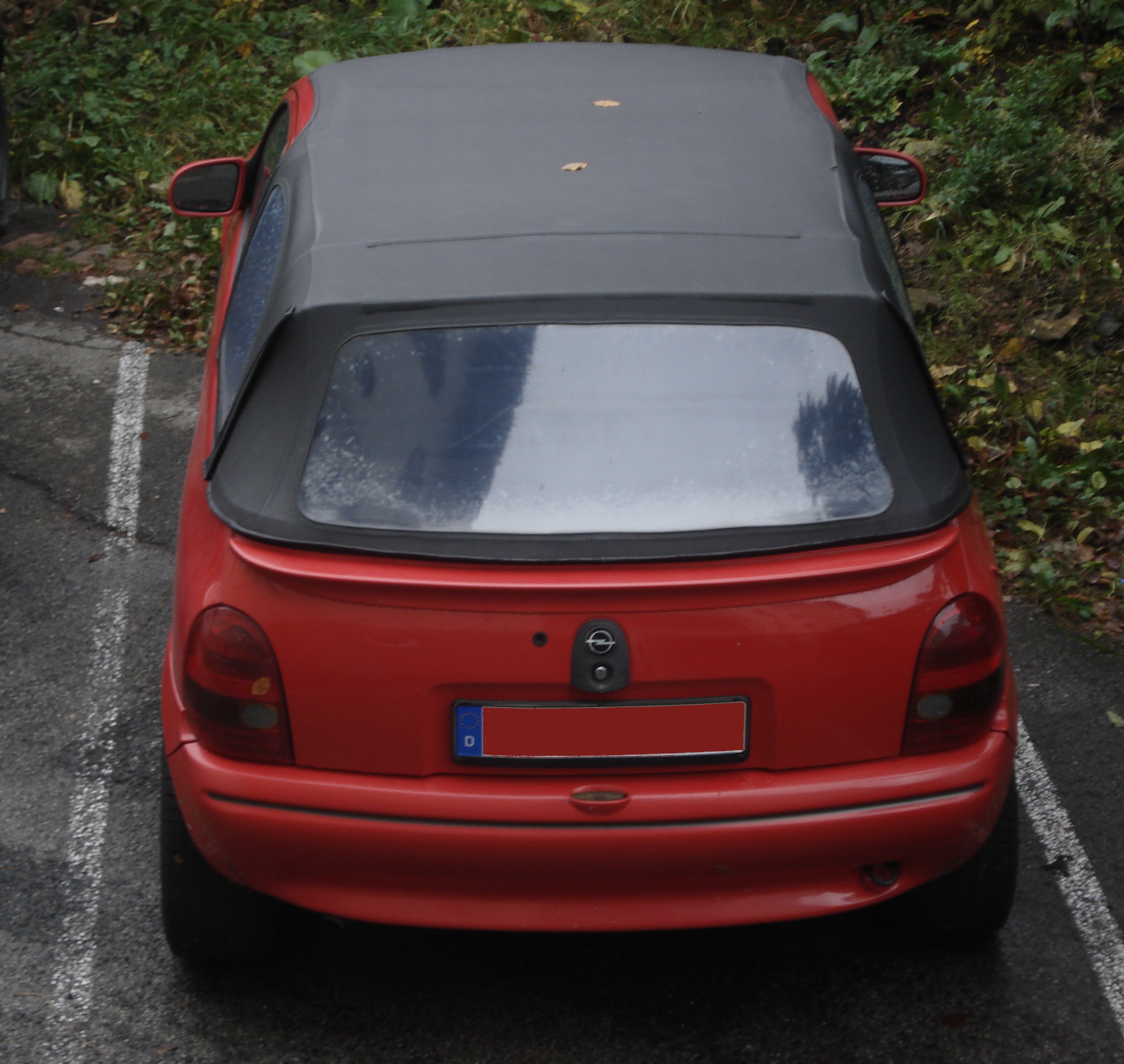 DSC06782.jpg