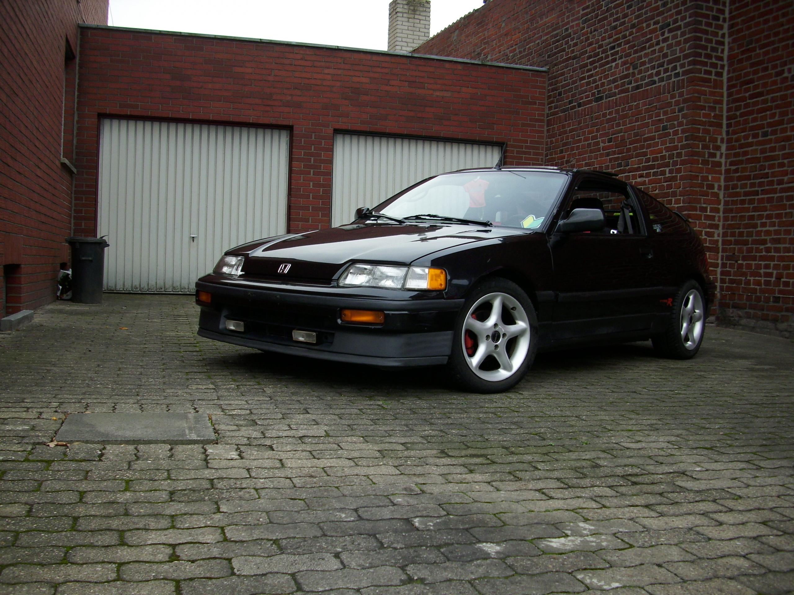 DSCI0295.JPG