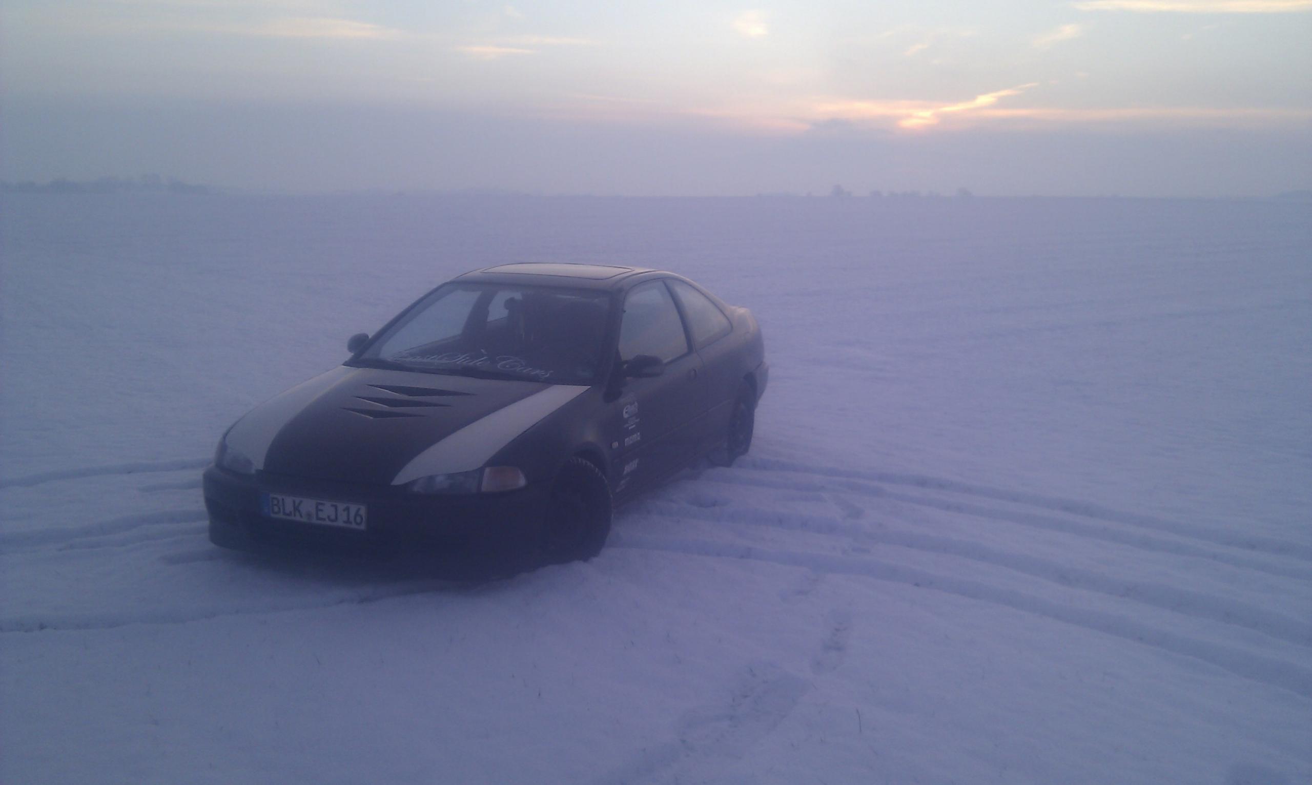 IMAG0142.jpg