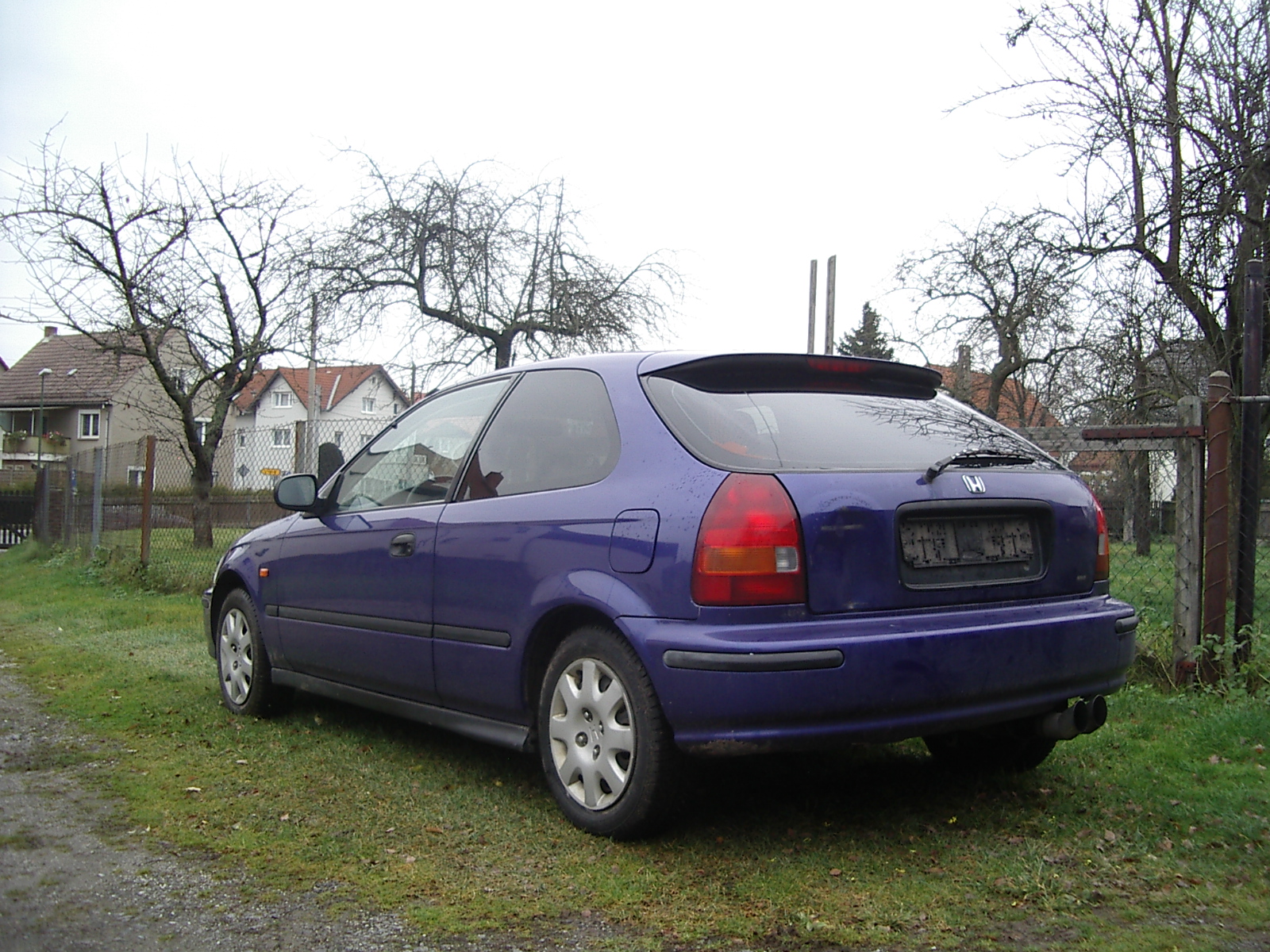 IMGP5753.JPG