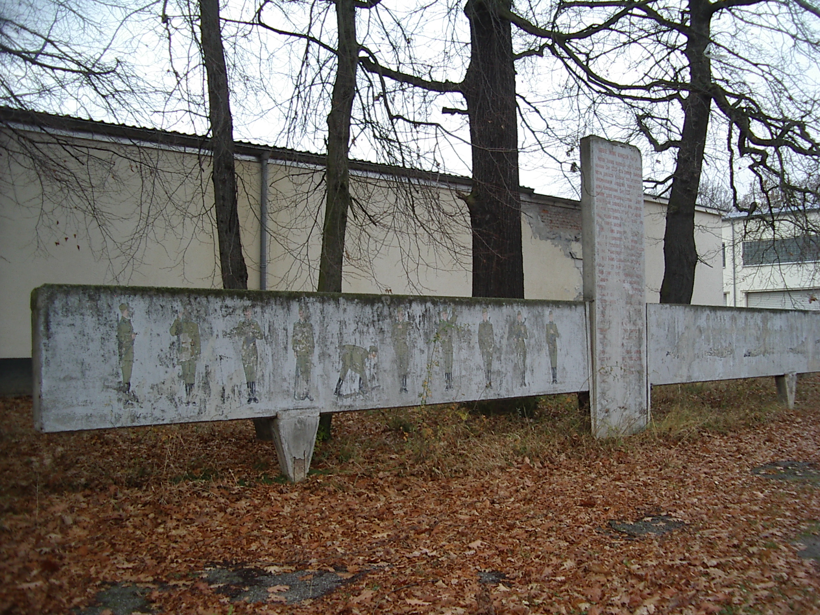 IMGP5754.JPG