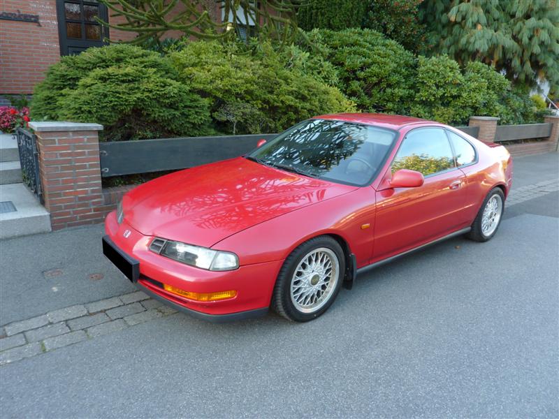 P1020113 (Medium).JPG