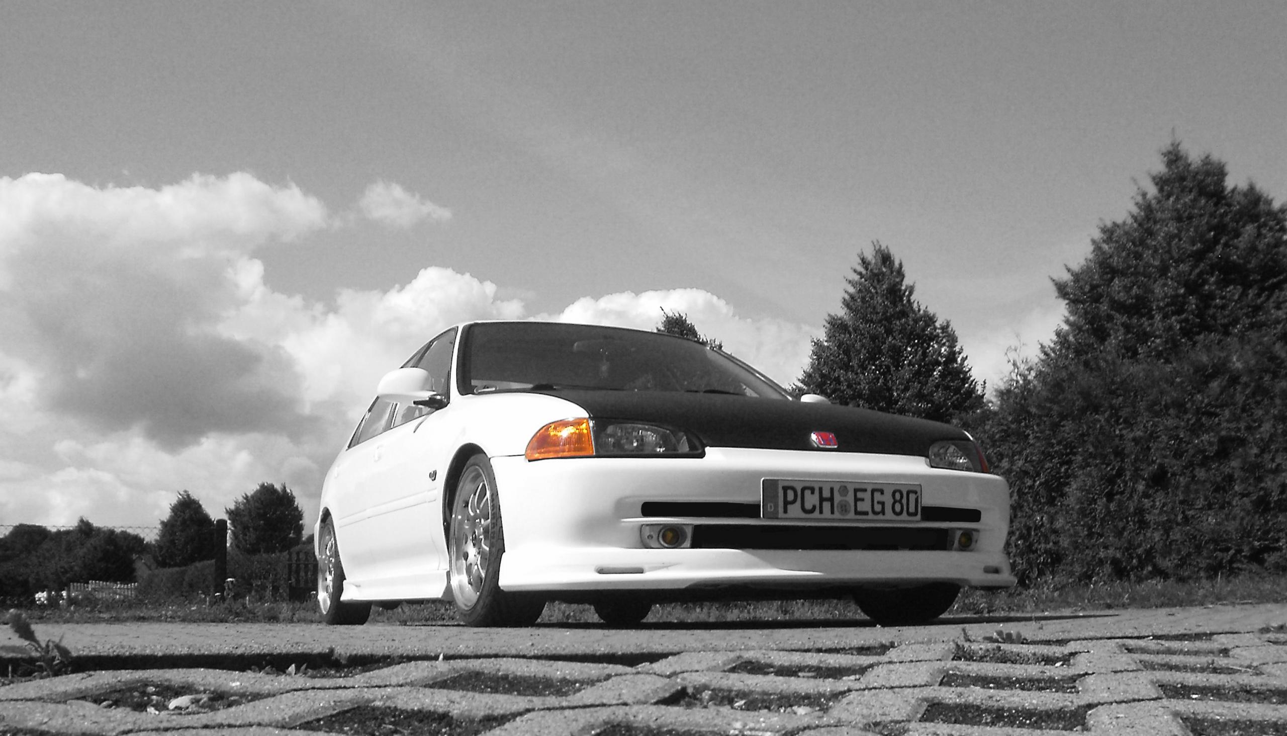 P5120040 Kopie.jpg