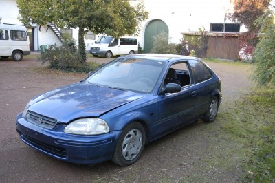 Bild2.JPG