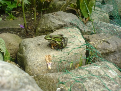 DSC01434.JPG