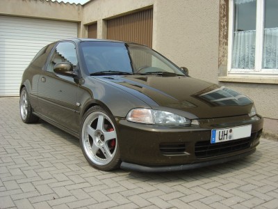 EG5.jpg