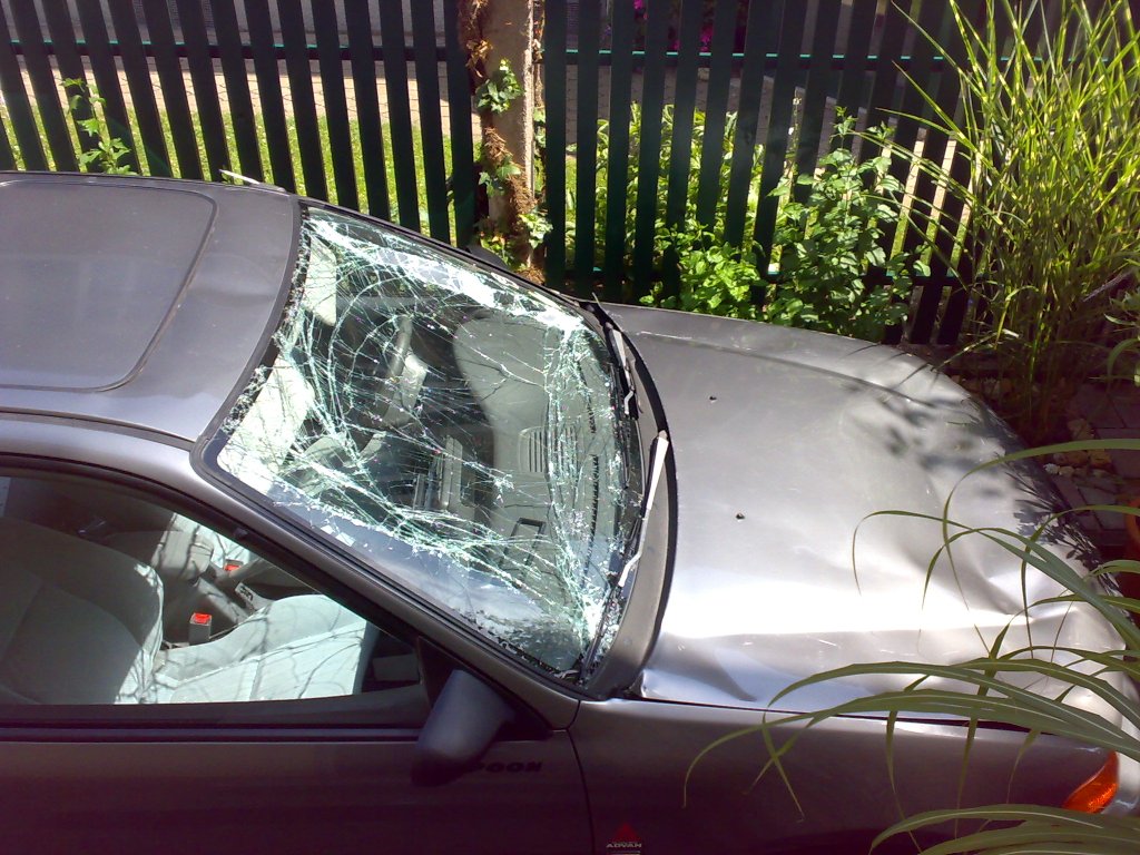 11072010495.jpg