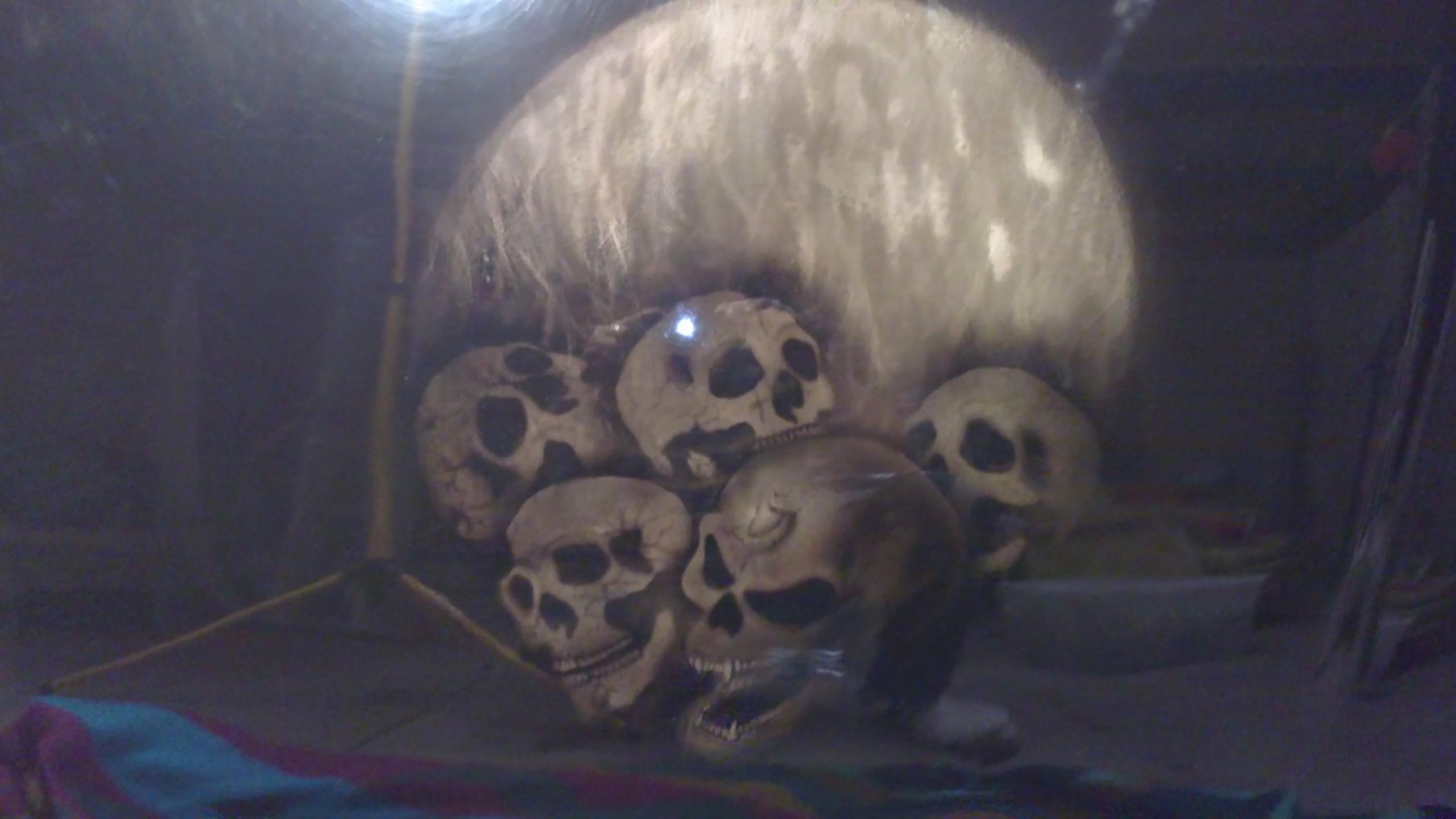 20102010094.JPG