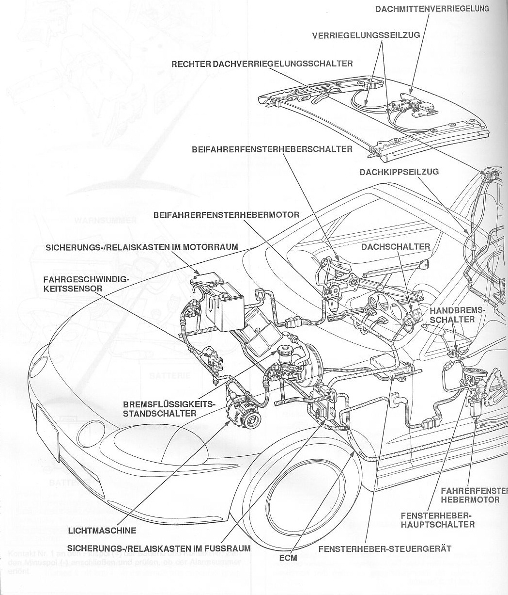 crx dach.jpg