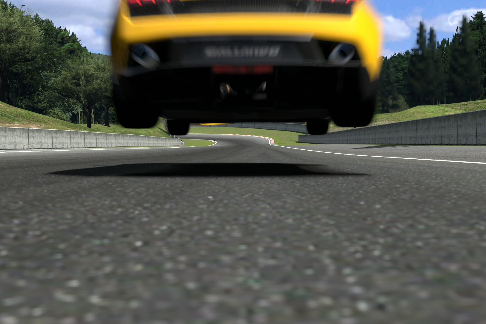 Deep Forest Raceway_2.jpg