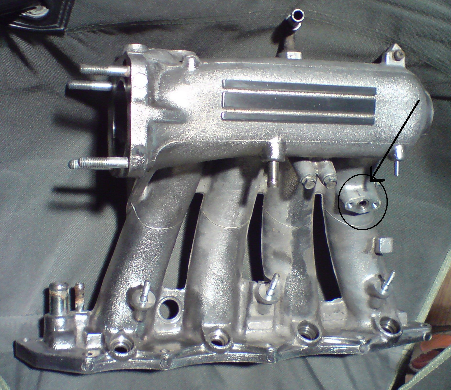 DSC03296.JPG