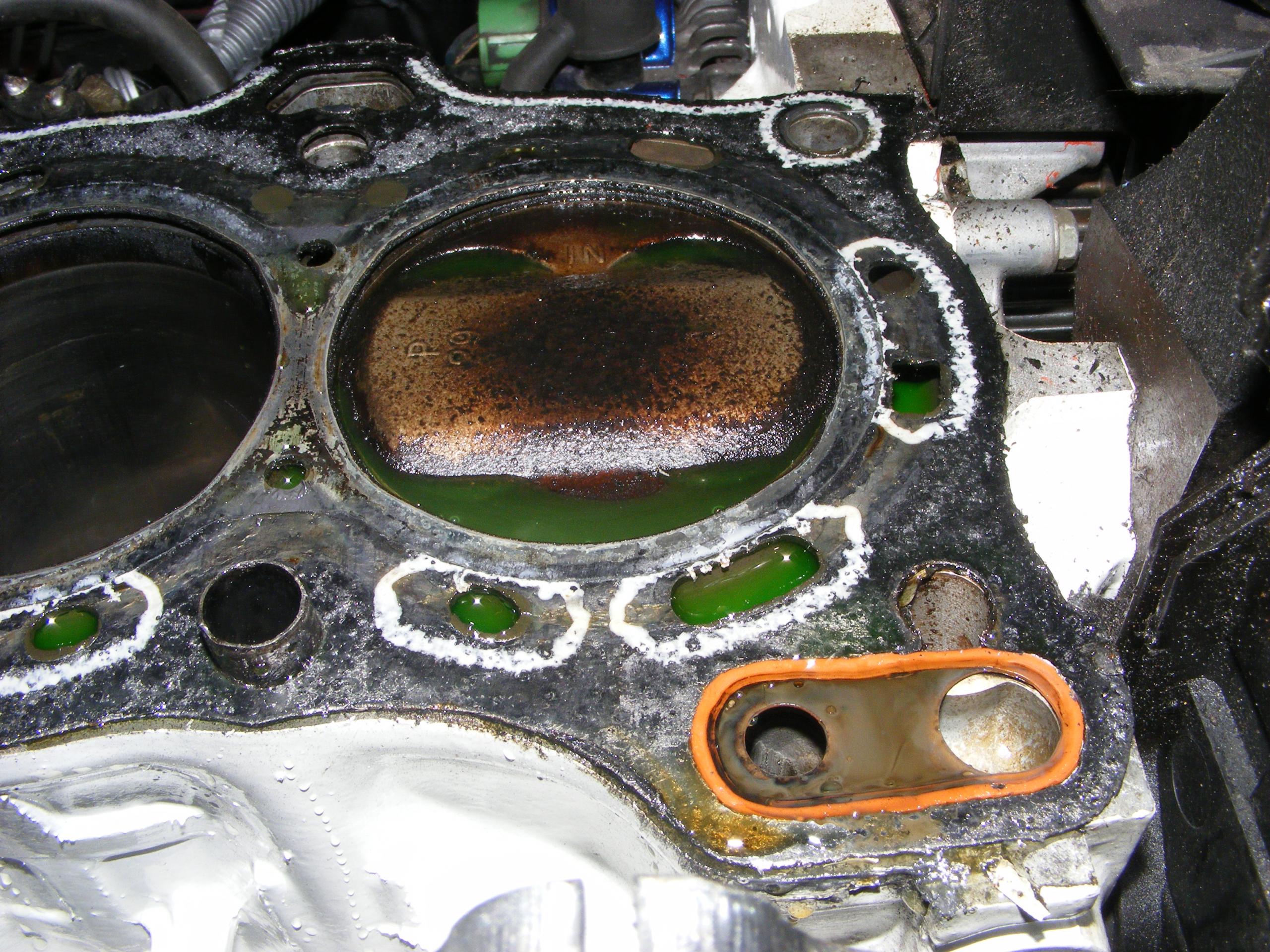 DSCF6916.JPG