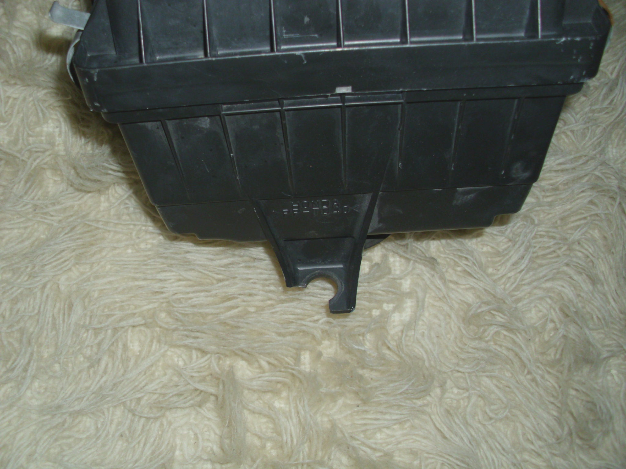 DSCI0763.JPG