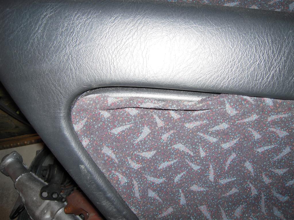 DSCN3872 (Large).jpg