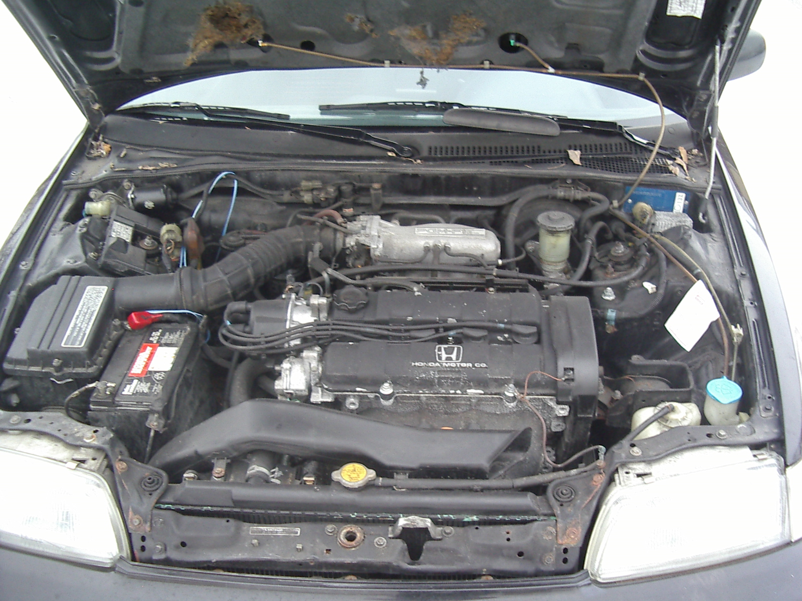 IMGP5786.JPG