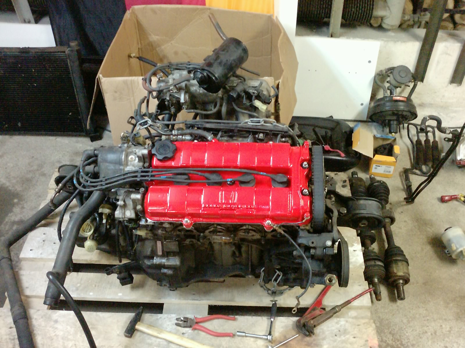 P1911_13-11-10.JPG
