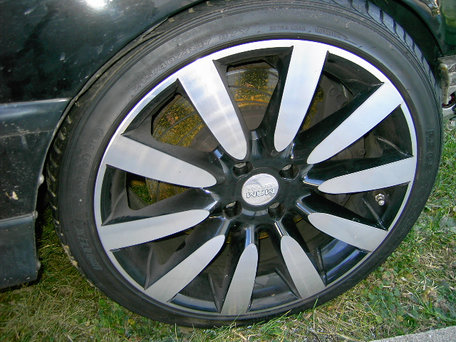 PICT2553.JPG