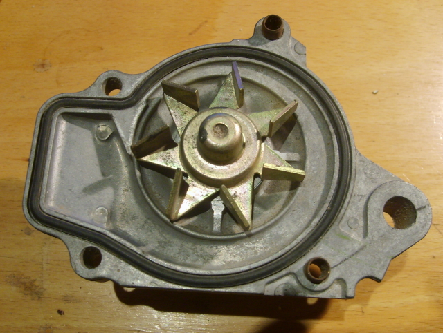 S6001518.JPG
