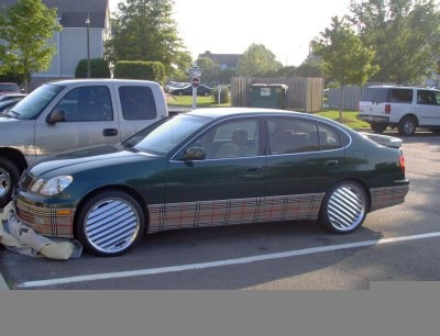 funny_pictures_Plaid.jpg