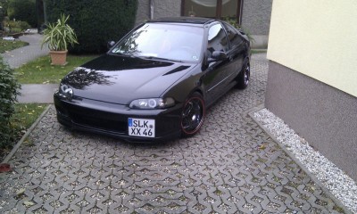 imag003776w08.jpg