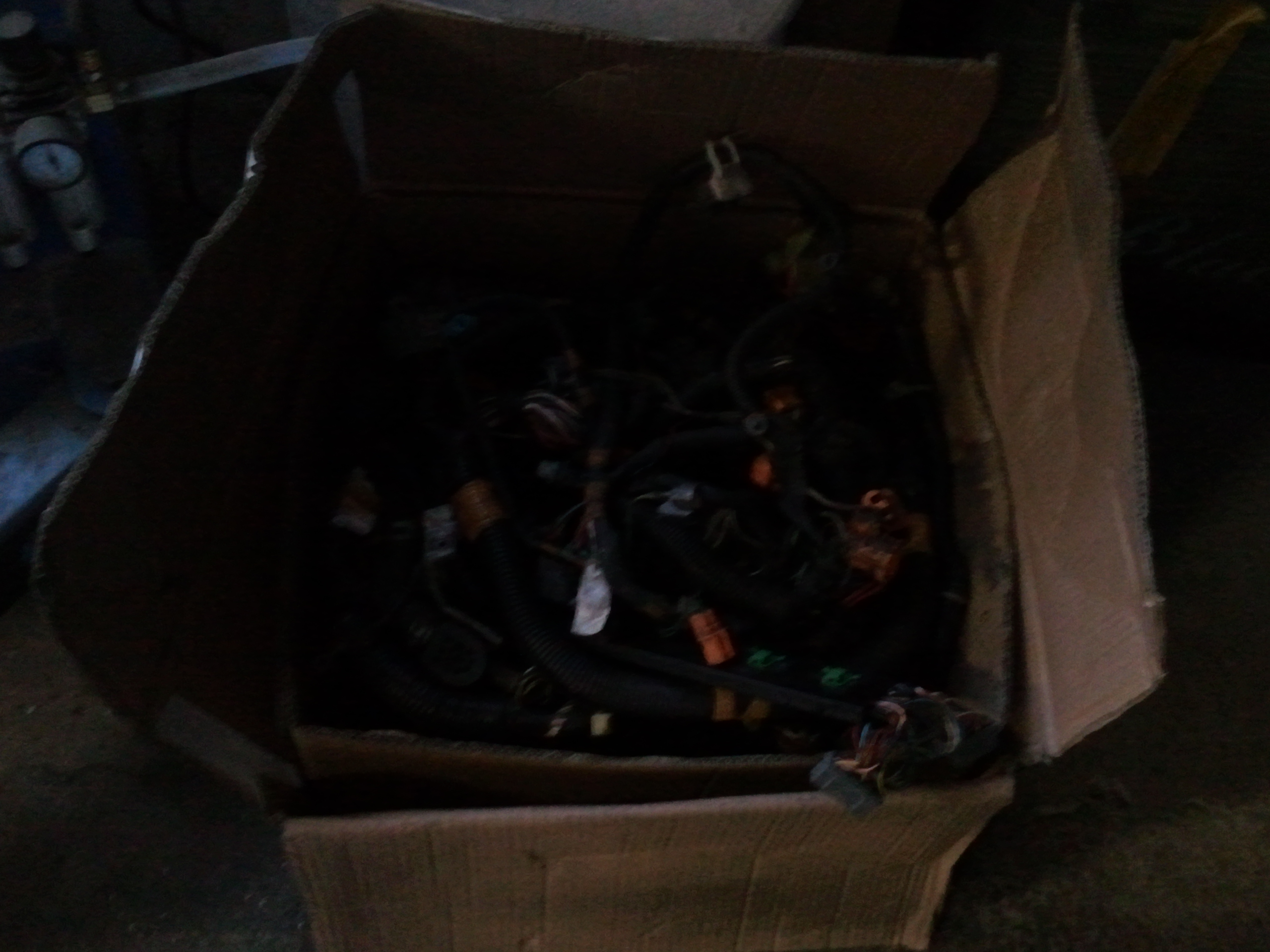 2011-01-30 16.37.03.jpg