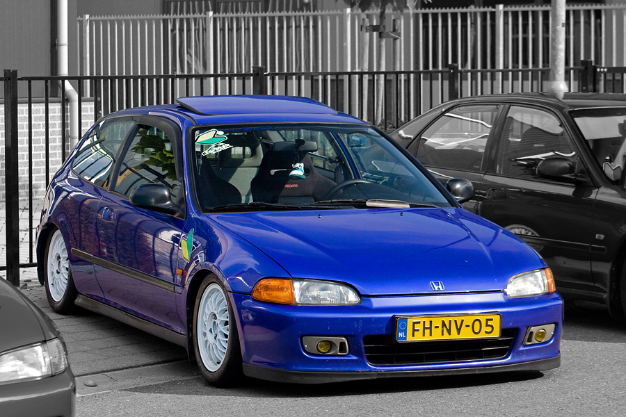 2899236609_81deda8e25_o.jpg
