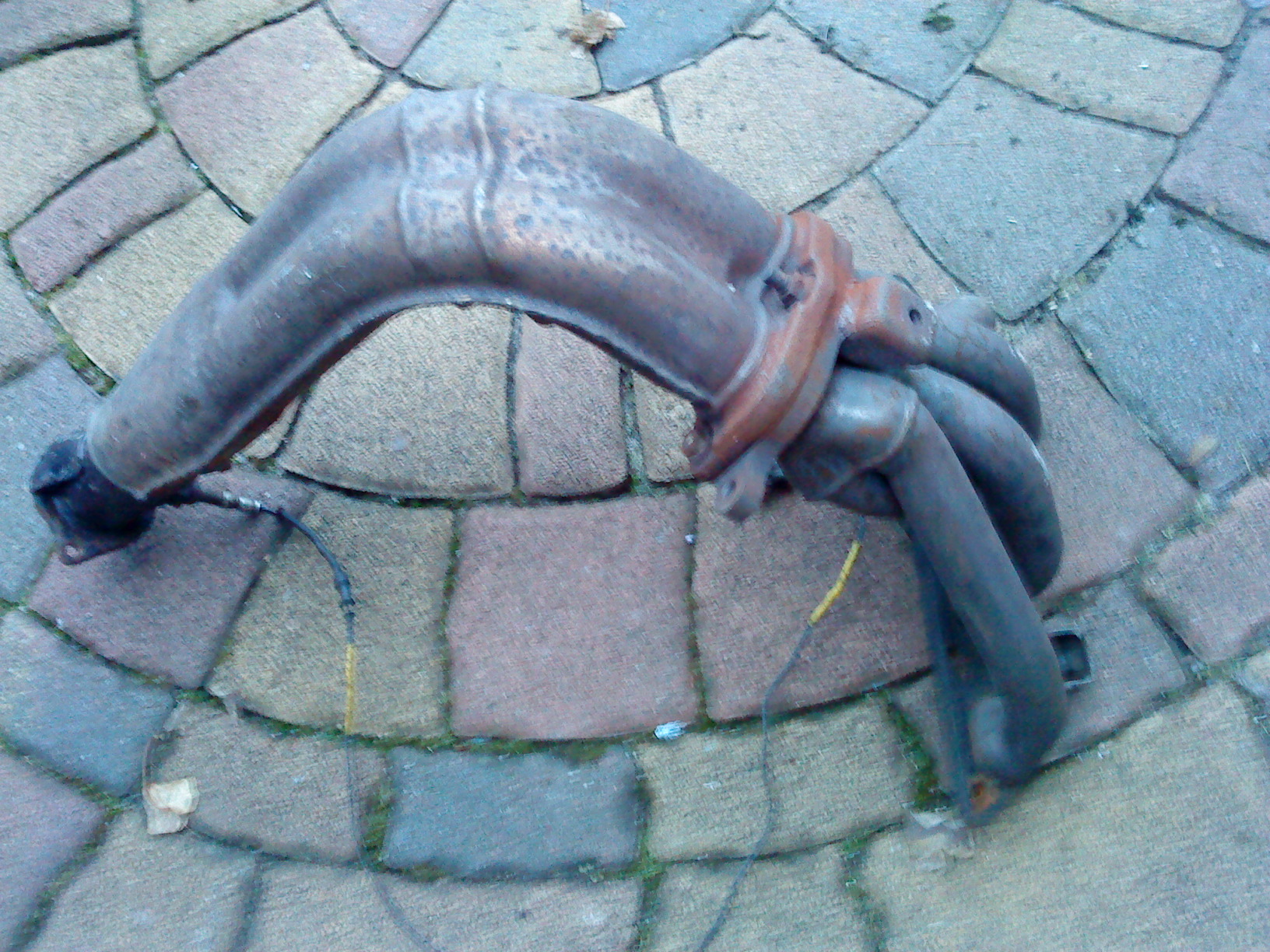 DSC01157.JPG