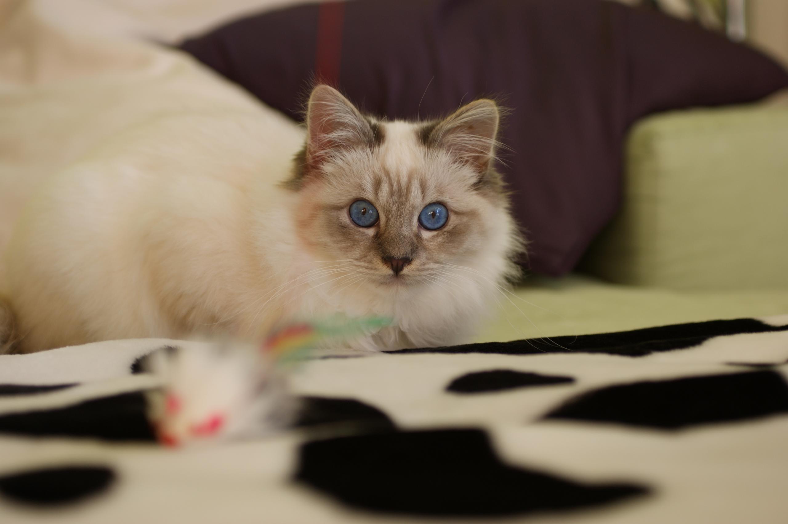 DSC05681.JPG