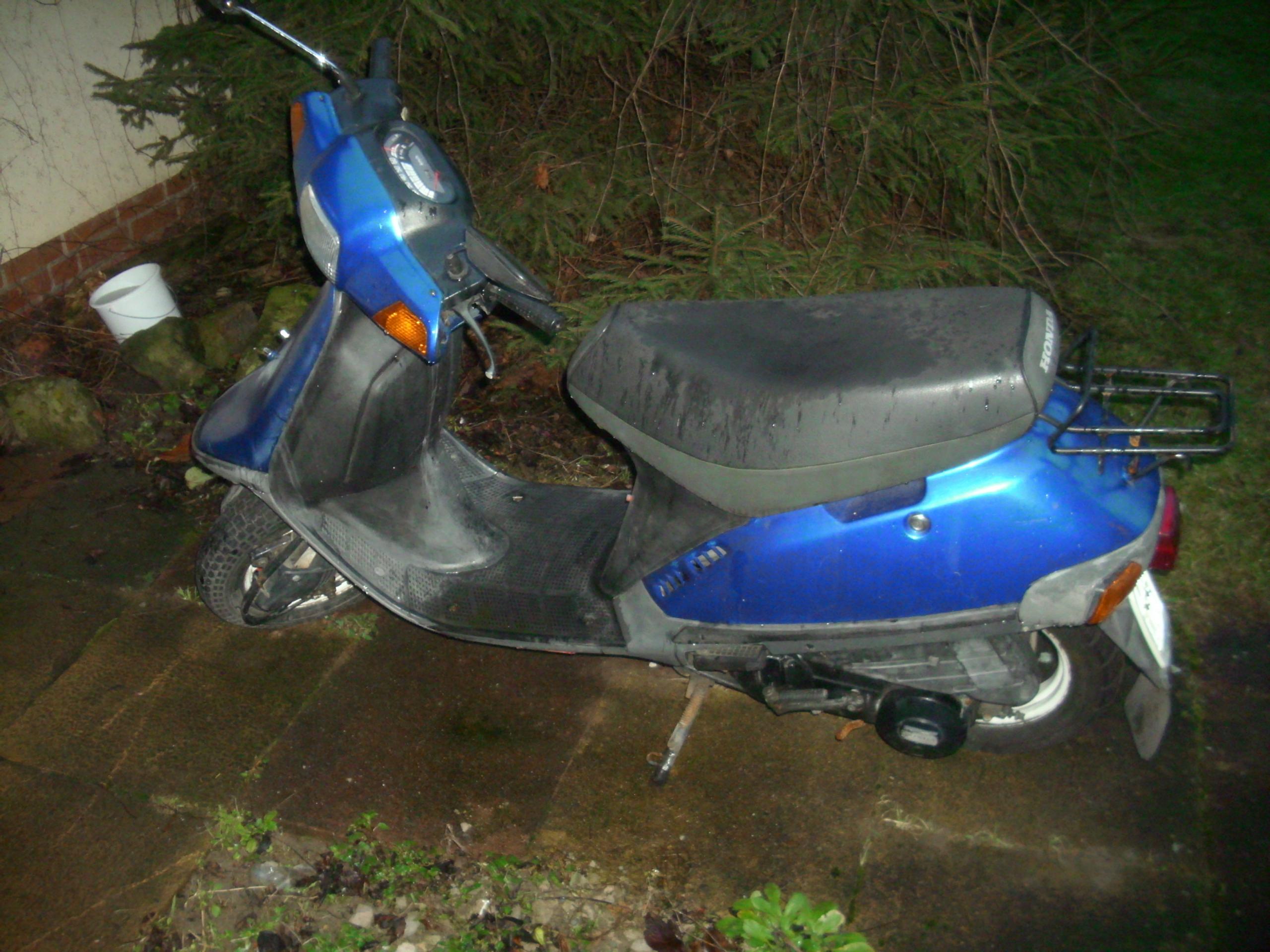 DSCI0530.JPG