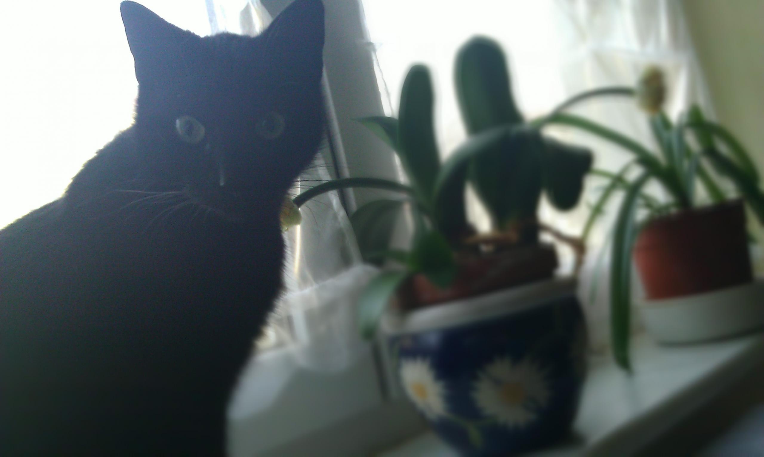 IMAG0030.jpg