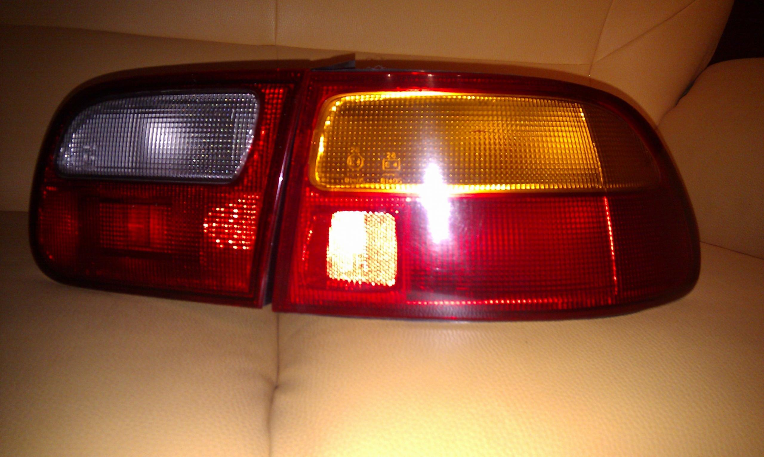 IMAG0070.jpg
