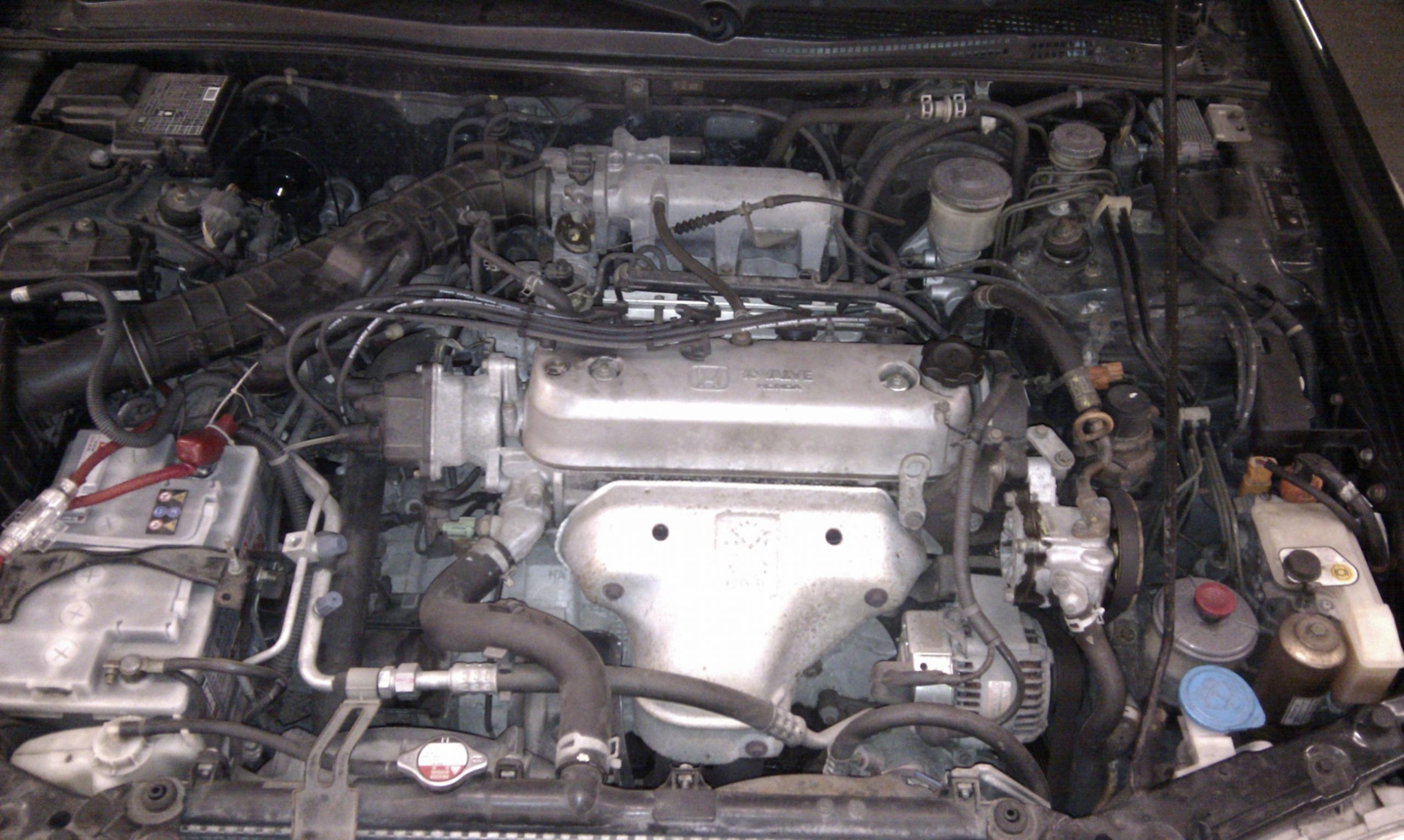 IMAG0213.jpg