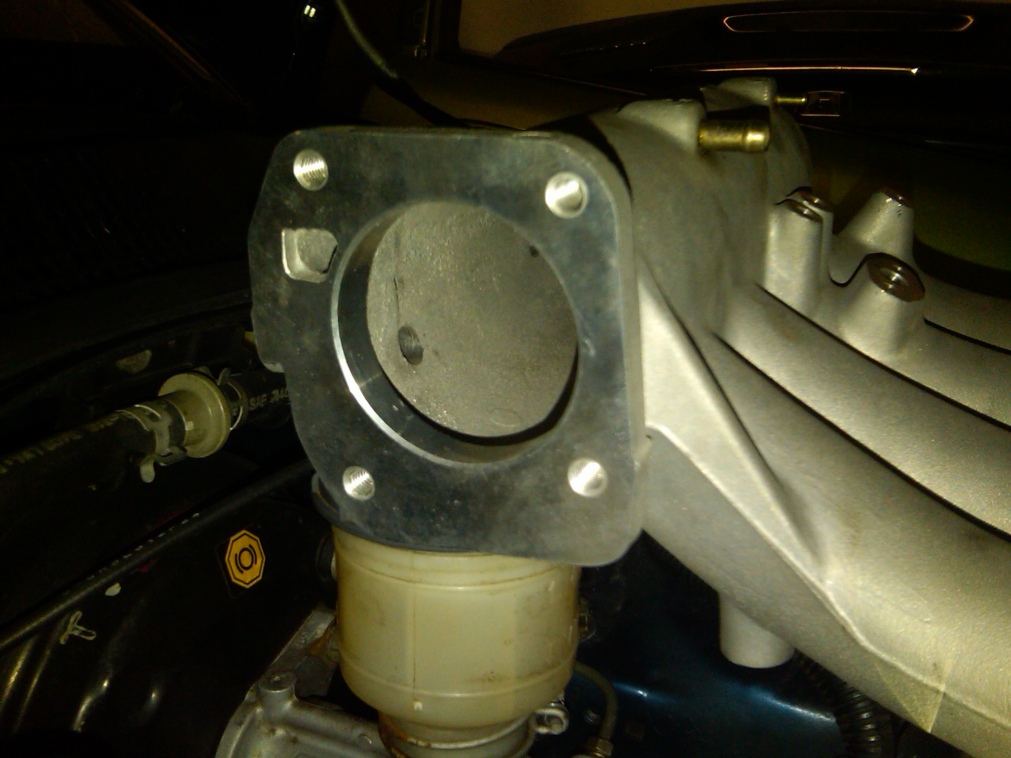 IMG00255-20101025-2139.jpg
