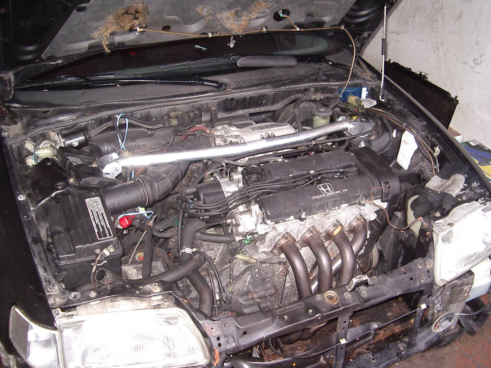 IMGP5813.JPG