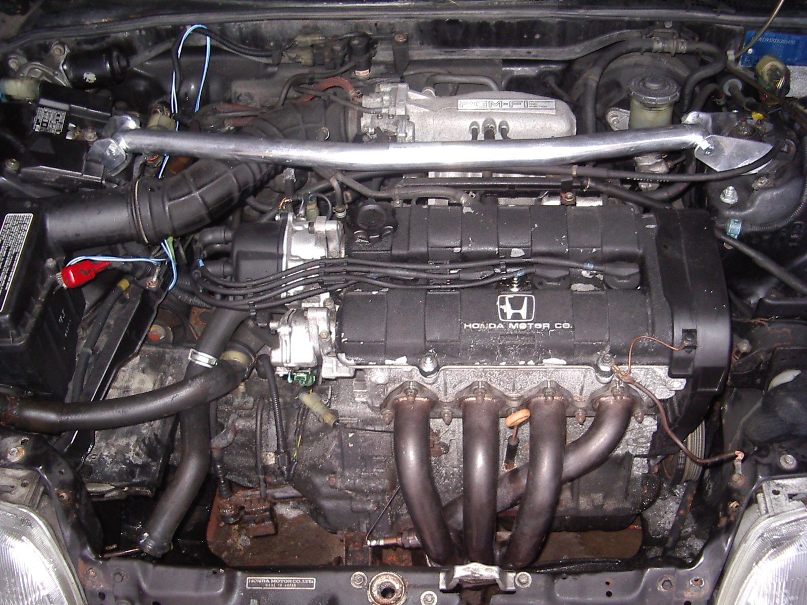 IMGP5815.JPG