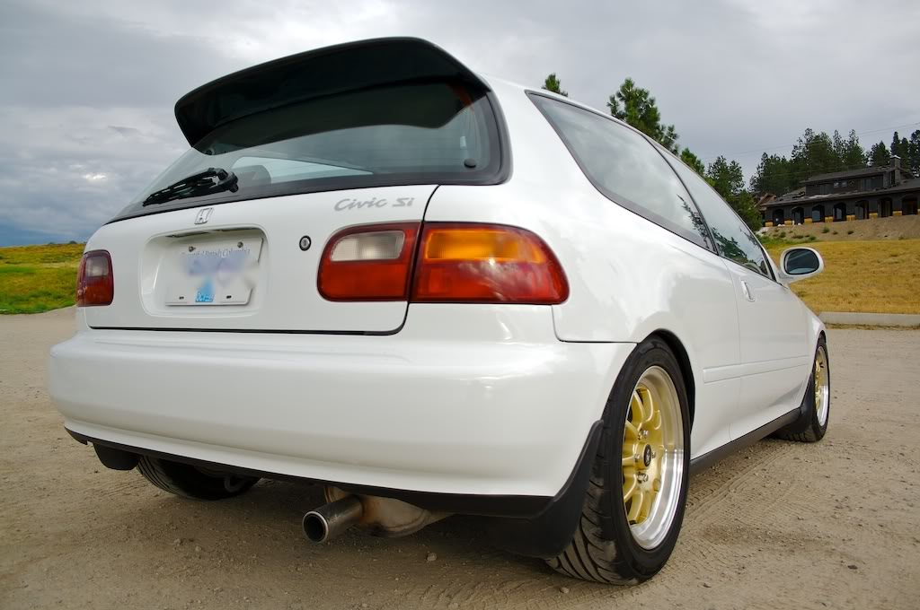 Lowered3.jpg