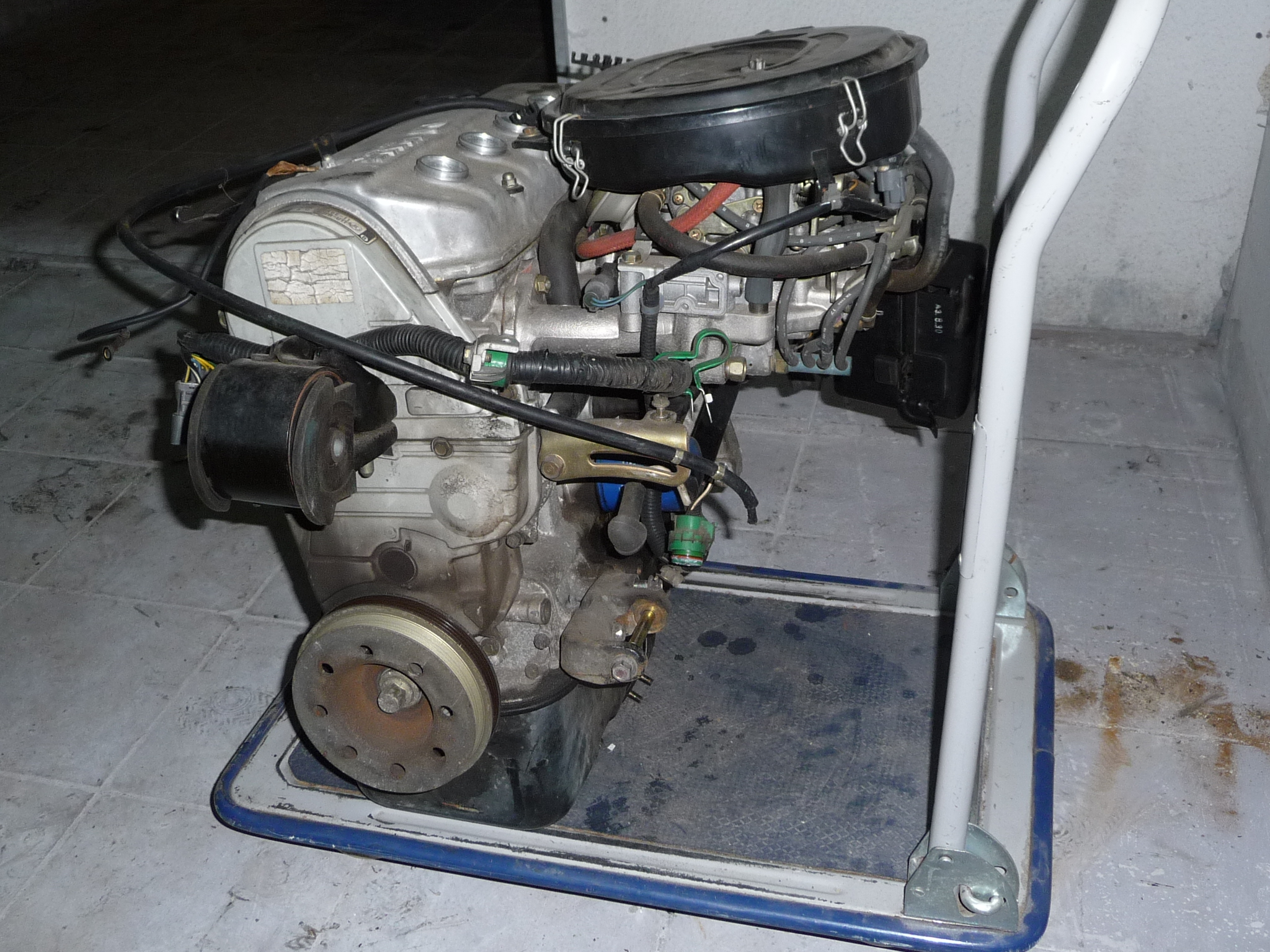 P1020117.JPG